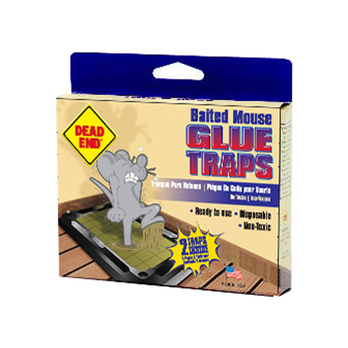 AP  G CO INC 1102 Baited Mouse Glue Traps  pair - Mycitystee