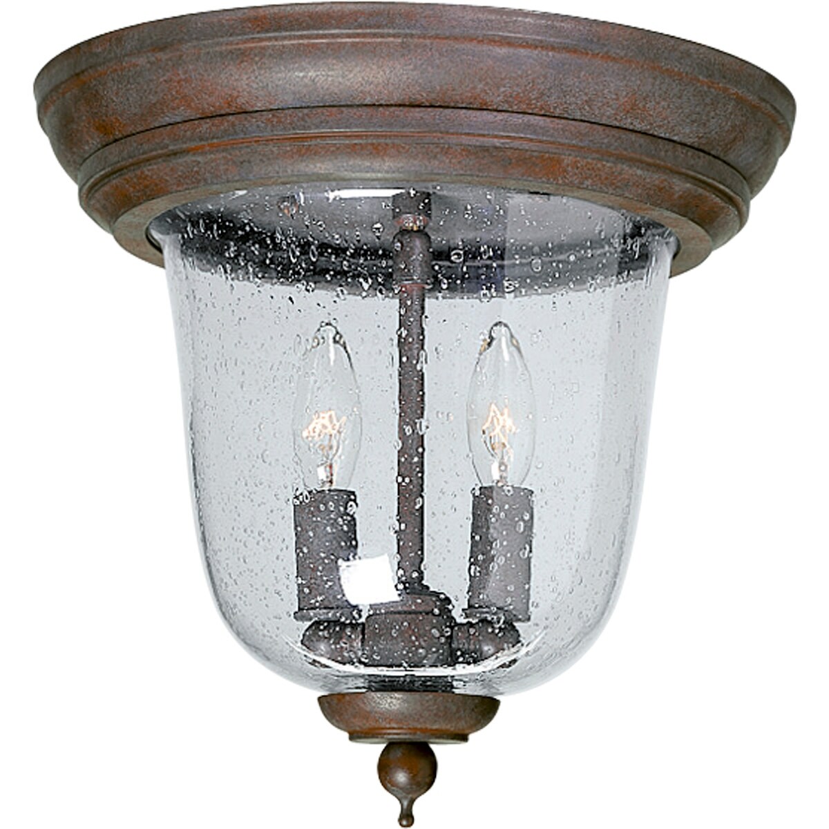 Progress Lighting Ashmore 2 Light Flush Mount Outdoor Ceiling Fixture - Mycitystee