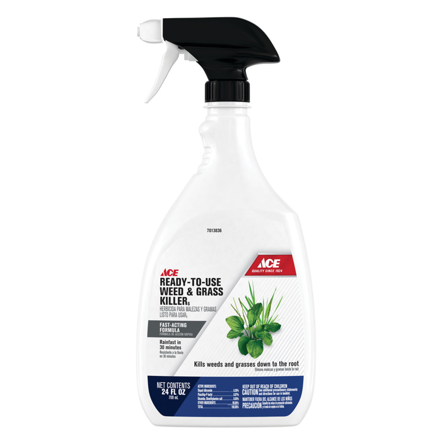 Ace Weed and Grass Killer RTU Liquid 24 oz - Mycitystee