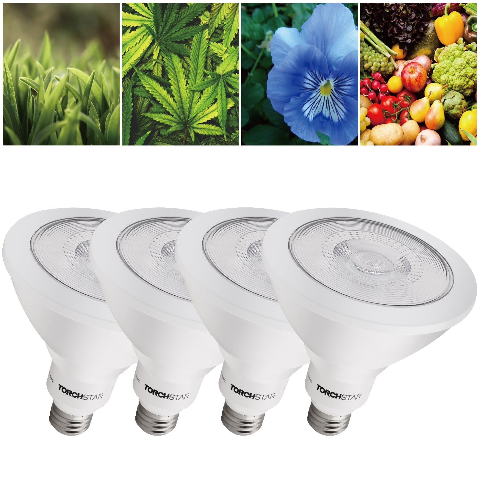 PAR38 LED Plant Grow Light Bulb Full Spectrum for Hydroponics Greenhouse Organic Indoor Plants E26 Base 4 Pack - 4PACK - Mycitystee