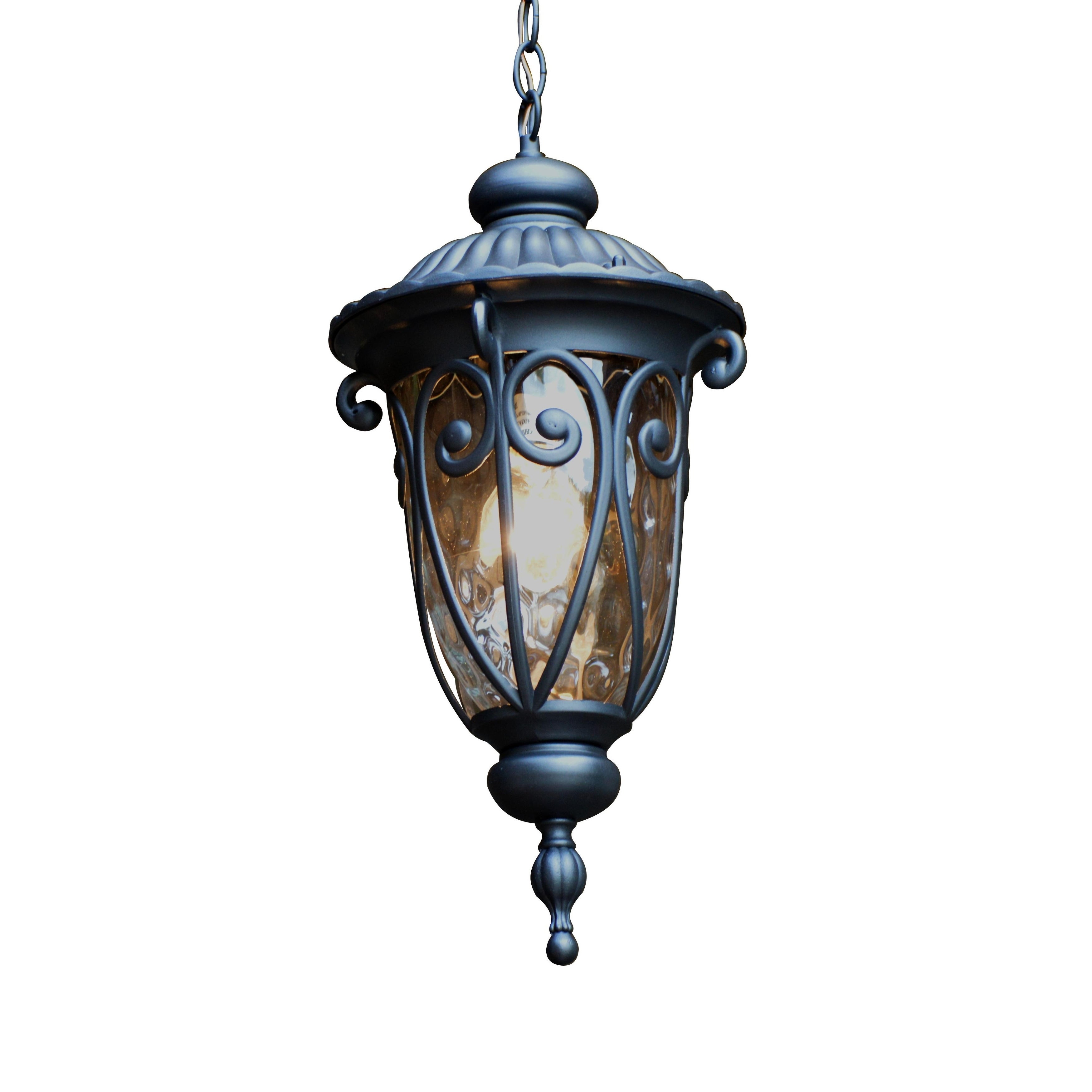 Hailee 1 Light Exterior Hanging Light in Matte Black Finish - Mycitystee
