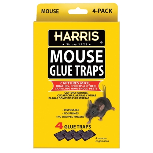Harris HMG-4 Mouse Glue Trap - pack of 4 - Mycitystee