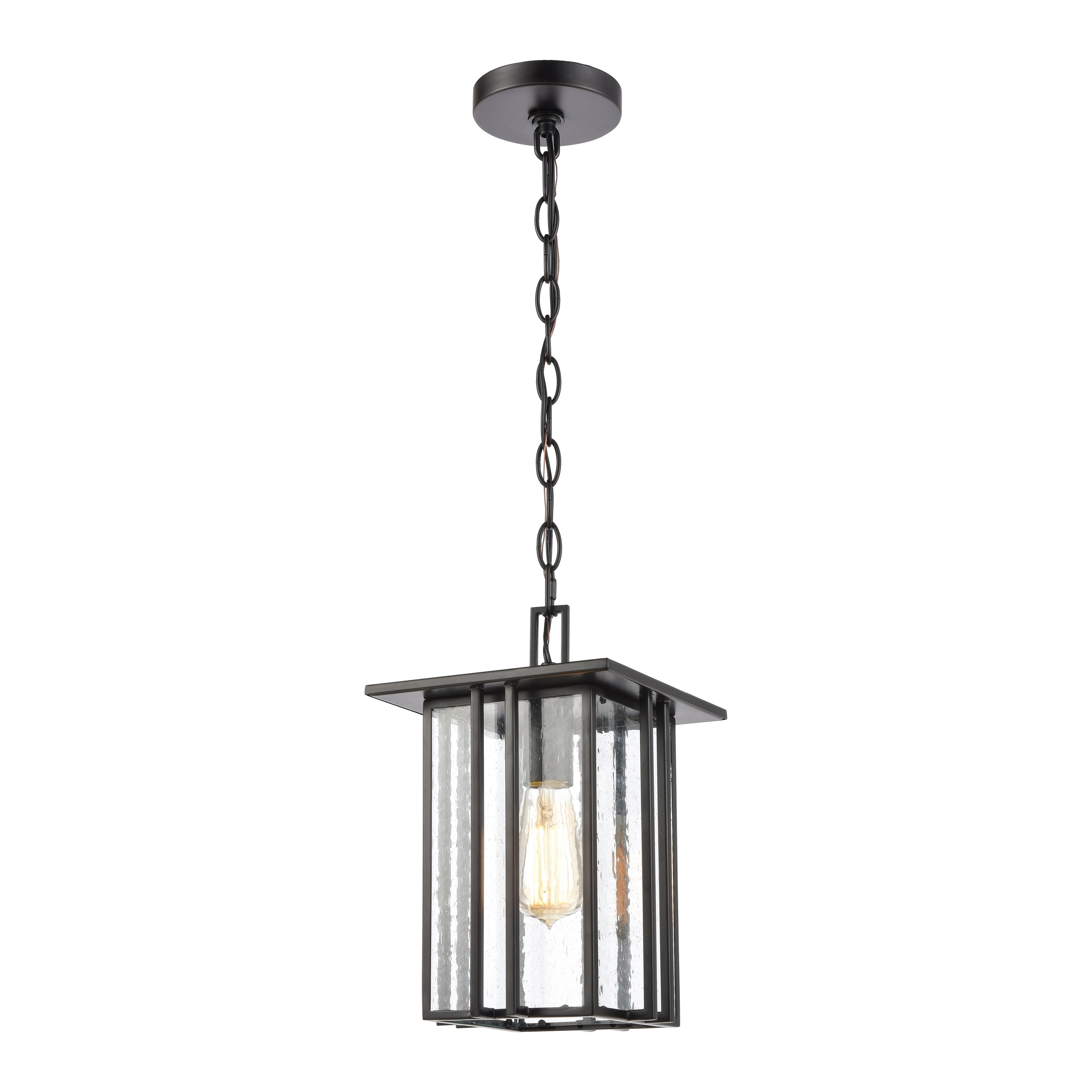 Radnor 8'' Wide 1-Light Outdoor Pendant - Matte Black - Mycitystee