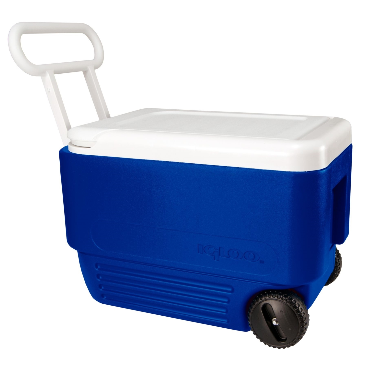 Igloo Wheelie Cool Blue 38 qt Cooler - Mycitystee