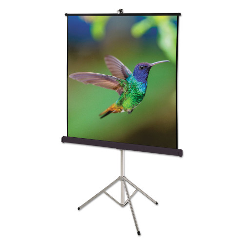 Quartet Portable Tripod Projection Screen， 60 x 60， White Matte Finish (560S) - Mycitystee