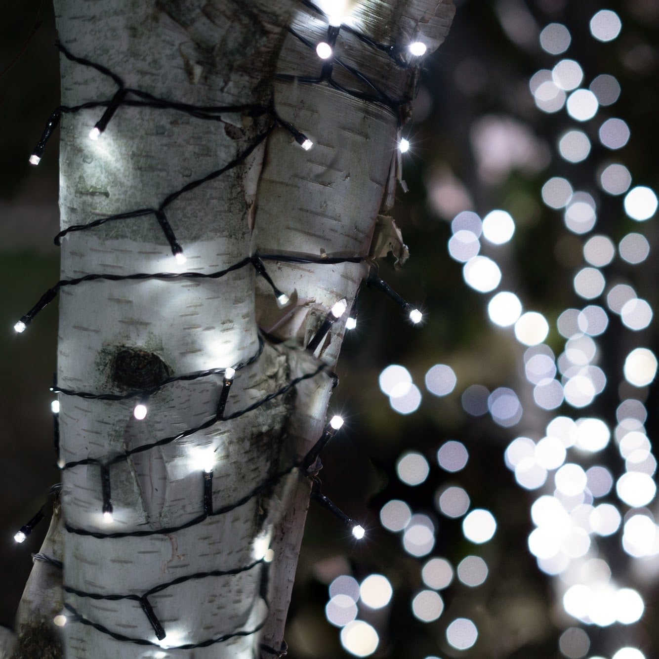 Solar Powered 225 LED String Light - 2 Pack， Multiple Color Options - 2 Pack - Mycitystee