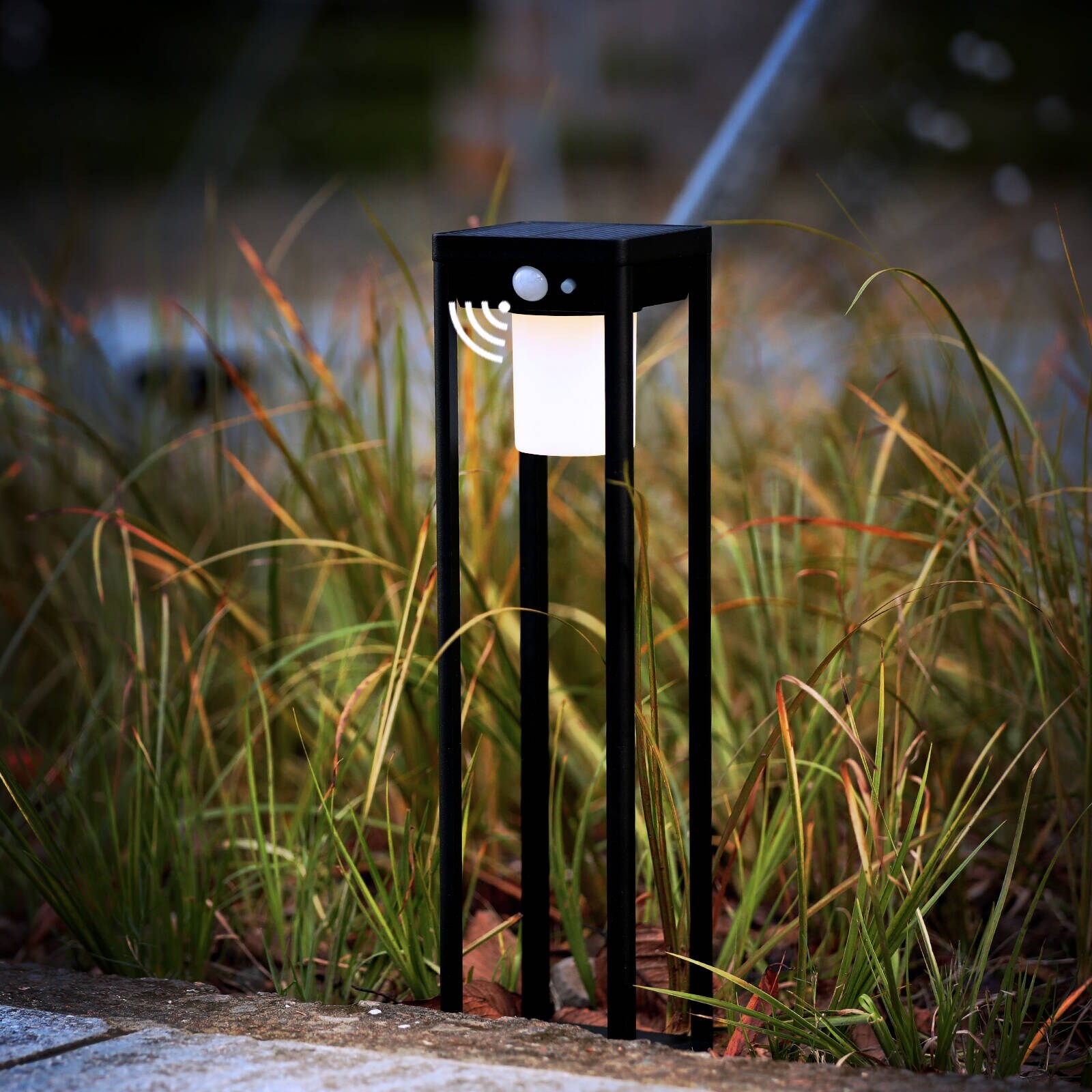 Inowel Solar Outdoor Light Pathway Dusk to Dawn Garden Lighting 2079 - Mycitystee