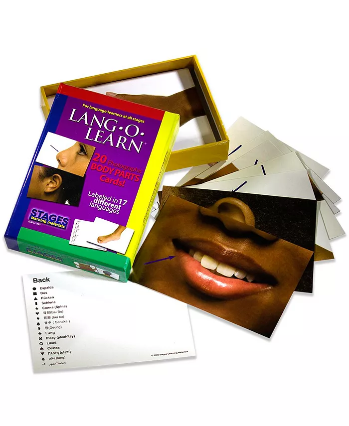 Stages Learning Materials Lang-O-Learn ESL Vocabulary Cards Flashcards， Body Parts - Mycitystee