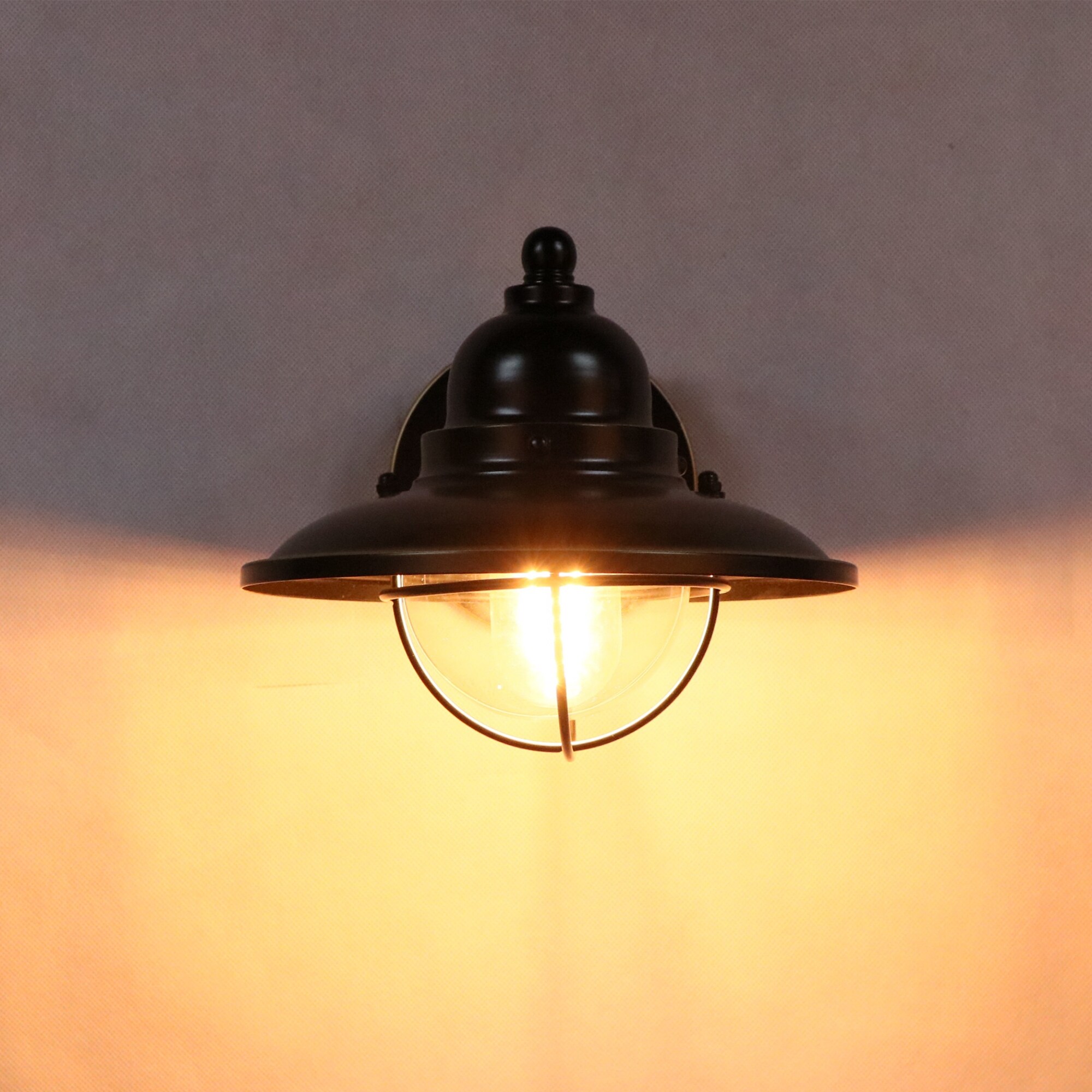 1 Light Wall Light in Imperial Black - Mycitystee