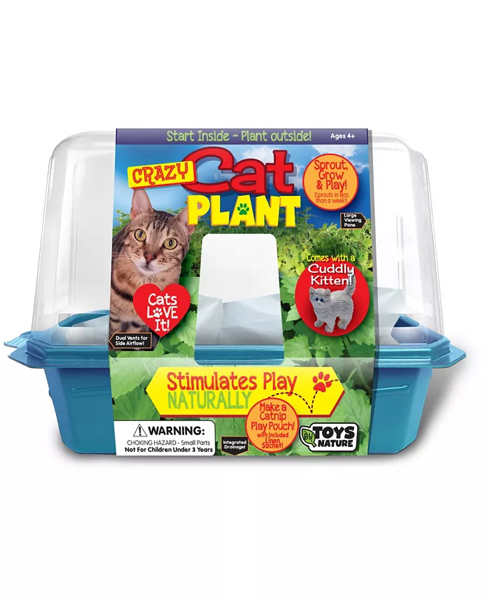 Areyougame Toys By Nature Miniature World - Crazy Cat Plant - Mycitystee