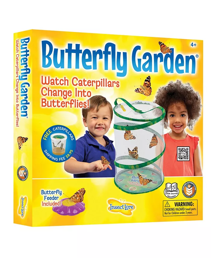 Insect Lore STEM Educational Butterfly Life Cycle Growing Kit - Mycitystee