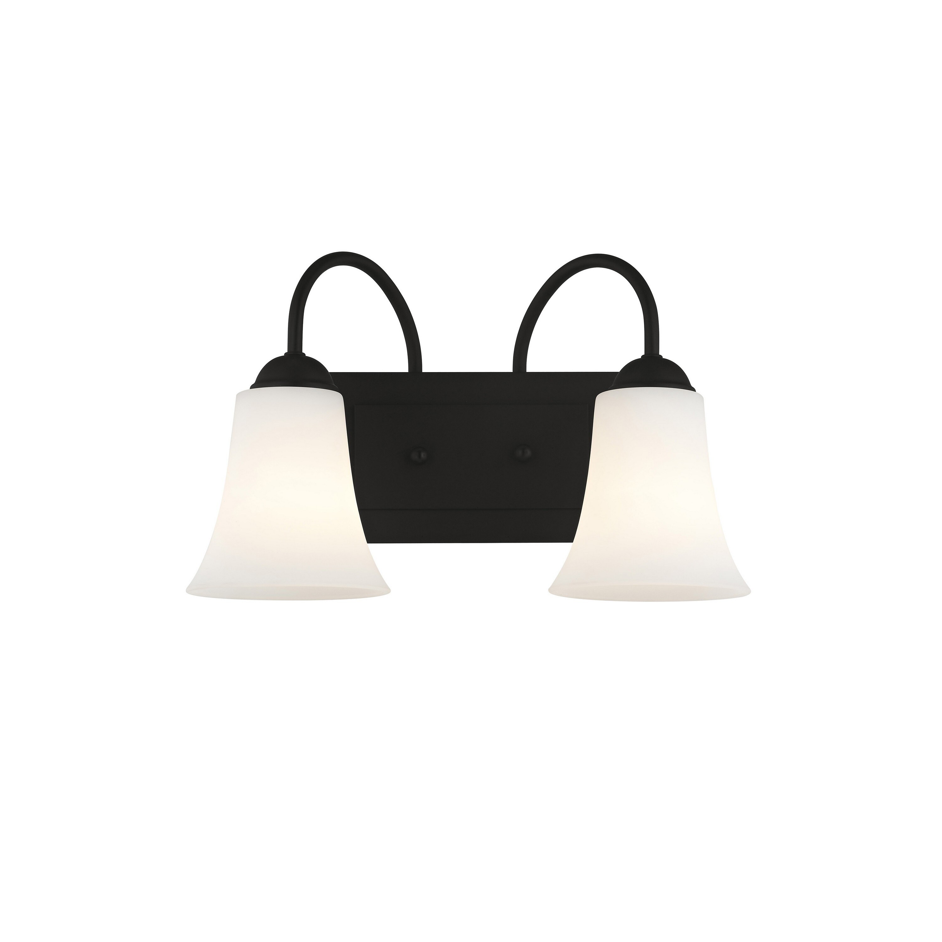 Livex Lighting Ridgedale 2 Light Black Bath Vanity - Mycitystee