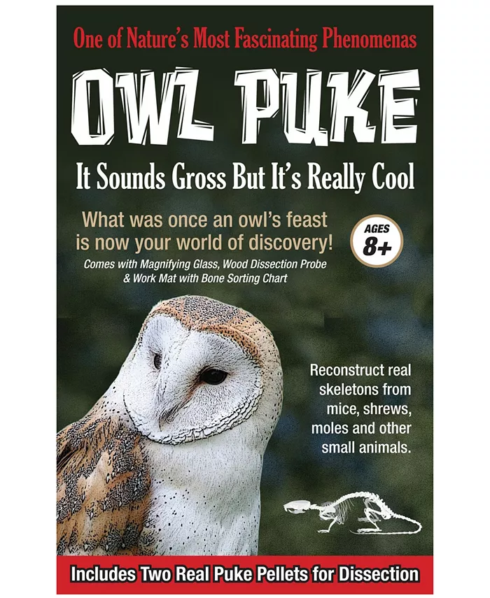 Areyougame Owl Puke - Mycitystee