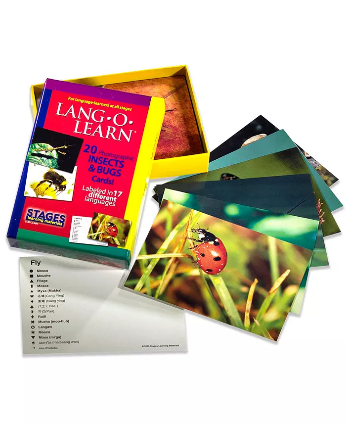 Stages Learning Materials Lang-O-Learn ESL Vocabulary Cards Flashcards， Insects Bugs - Mycitystee