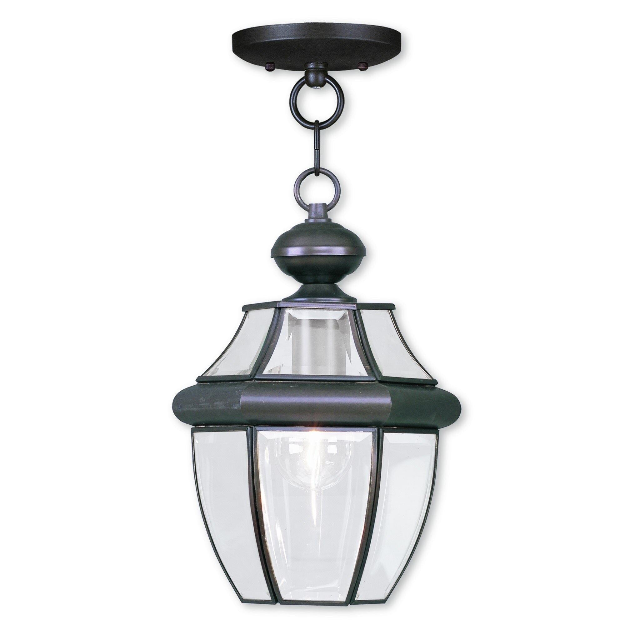 Livex Lighting Monterey Bronze-finish Brass/Glass 1-light Outdoor Chain Lantern - Mycitystee