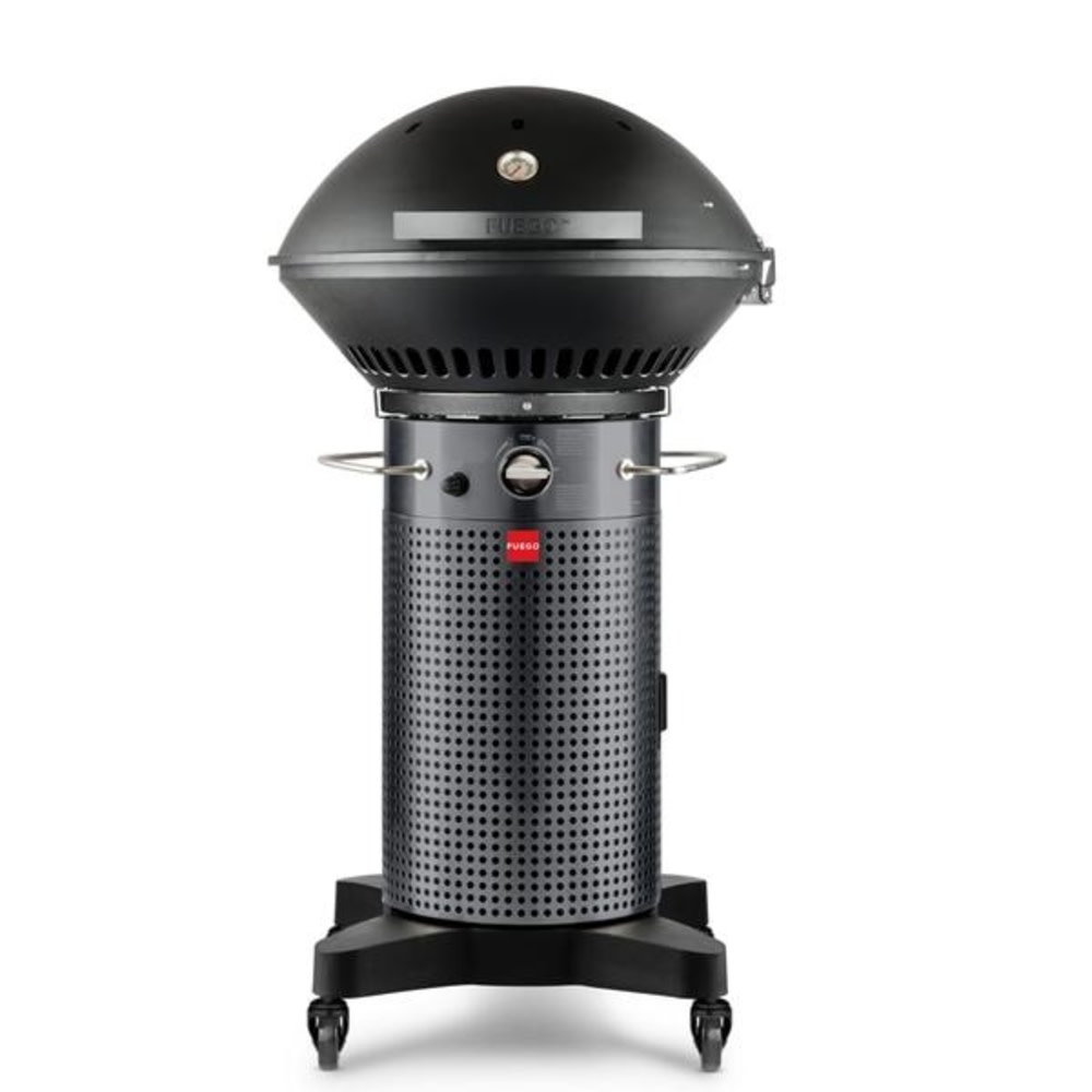 Fuego Professional 24 2 Burner Propane Gas Grill - Mycitystee