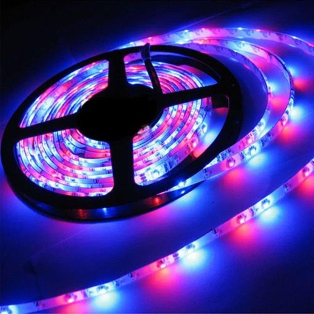 LED Flexible Strip Lights，Strip Lights - Medium Shopping - The Best Deals on String Lights | 27227228 - Mycitystee