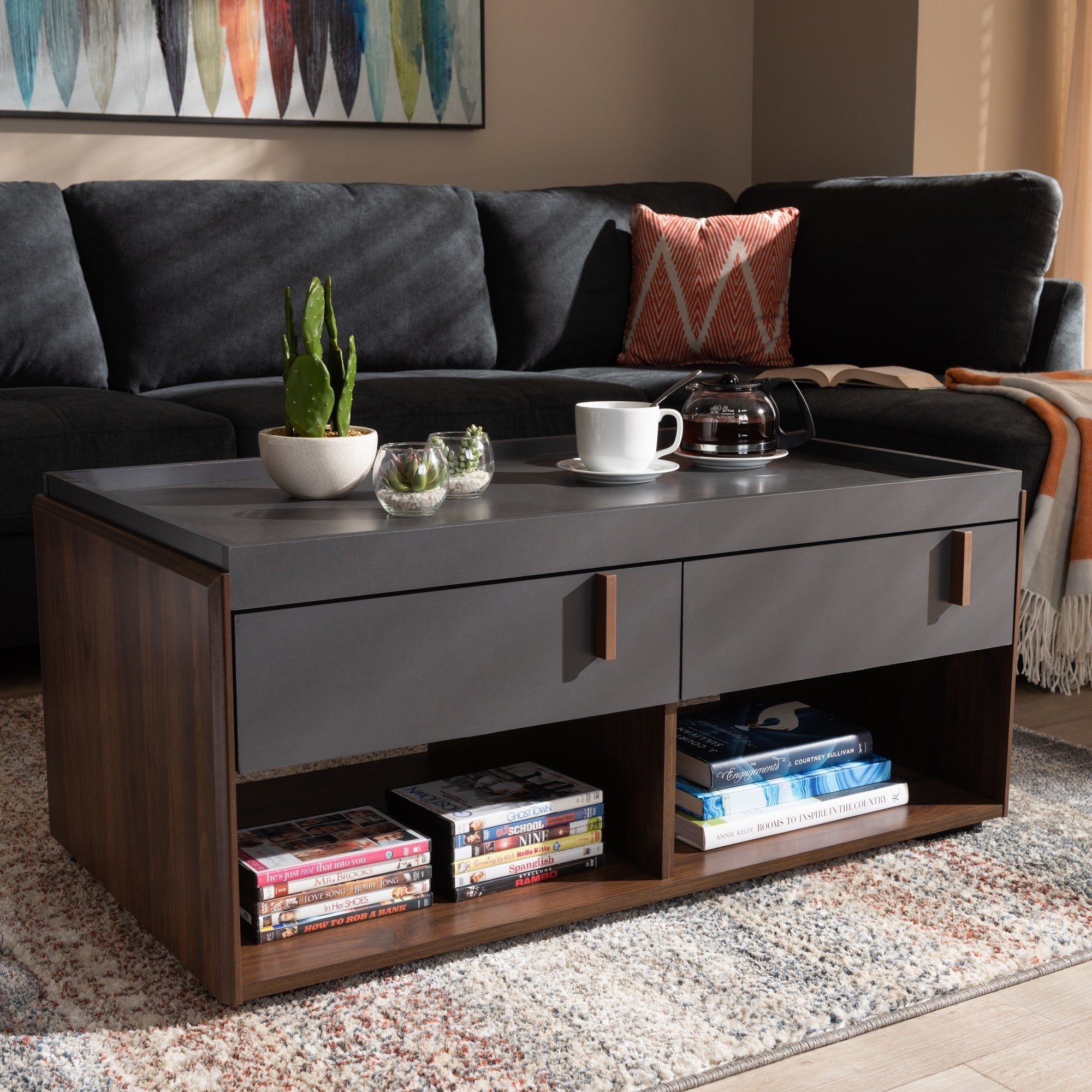 Contemporary 2-Drawer Coffee Table - Mycitystee
