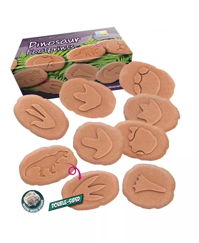 Yellow Door Let's Investigate Dinosaur Footprints， Set of 8 - Mycitystee