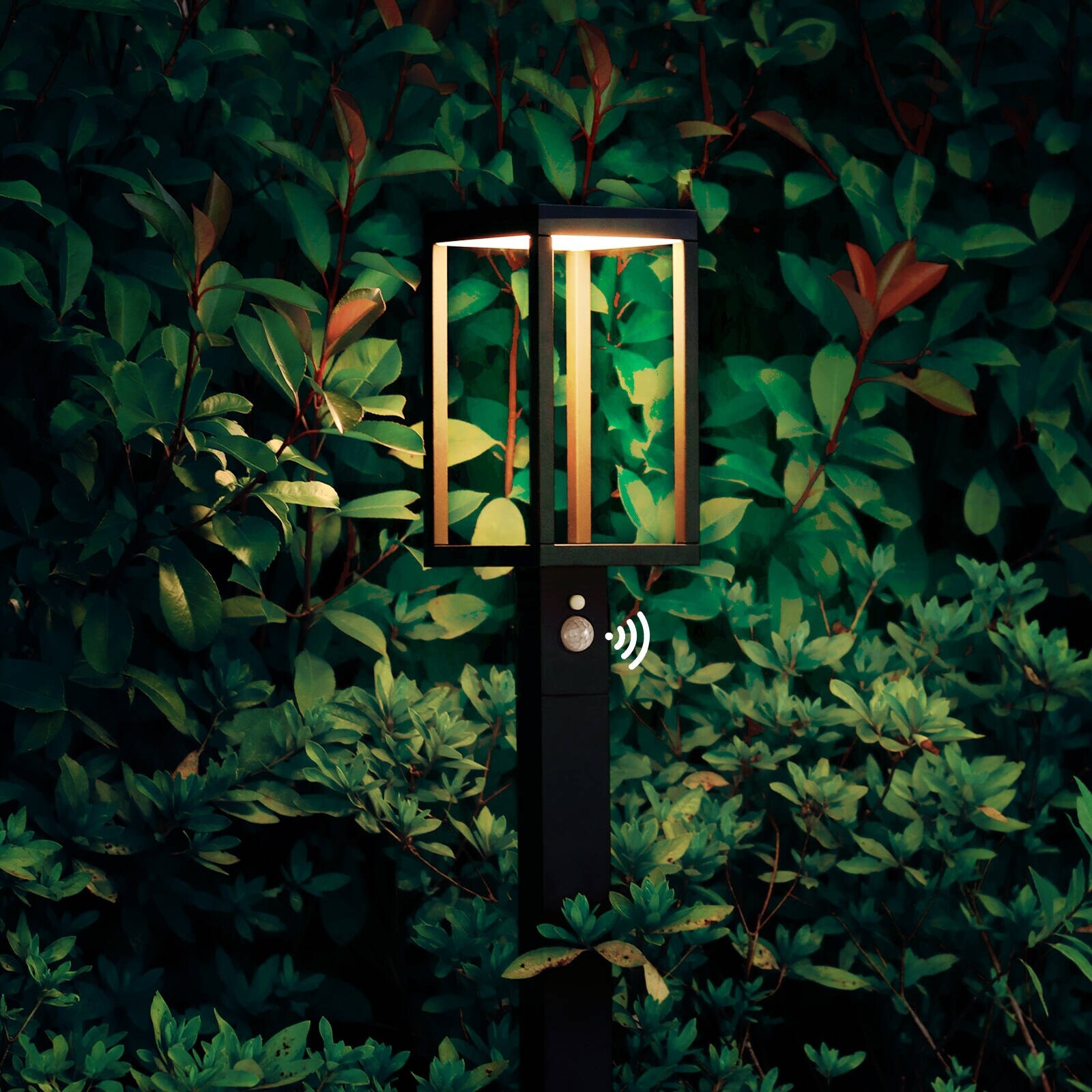 Inowel Solar Outdoor Light Pathway Dusk to Dawn Garden Lighting - Mycitystee