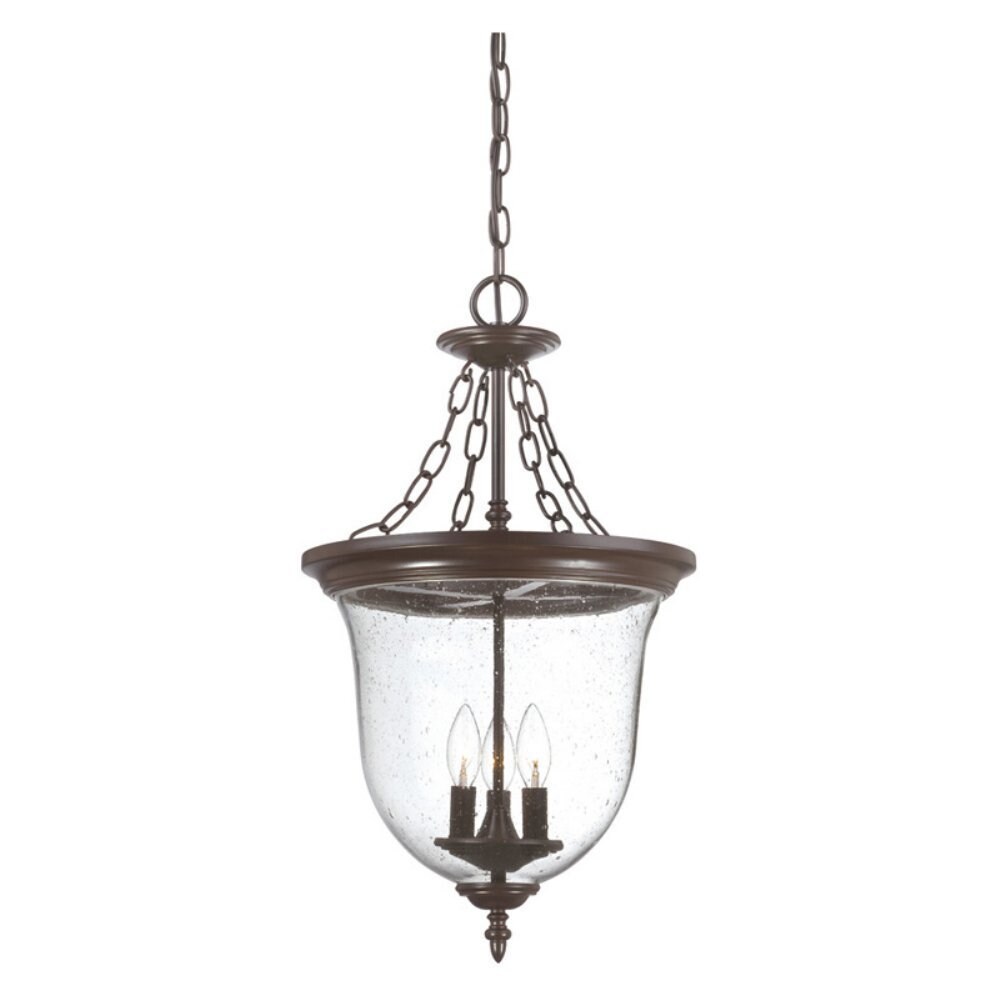 Acclaim Lighting Belle Collection Hanging Lantern 3-Light Outdoor Matte Black Light Fixture - Mycitystee