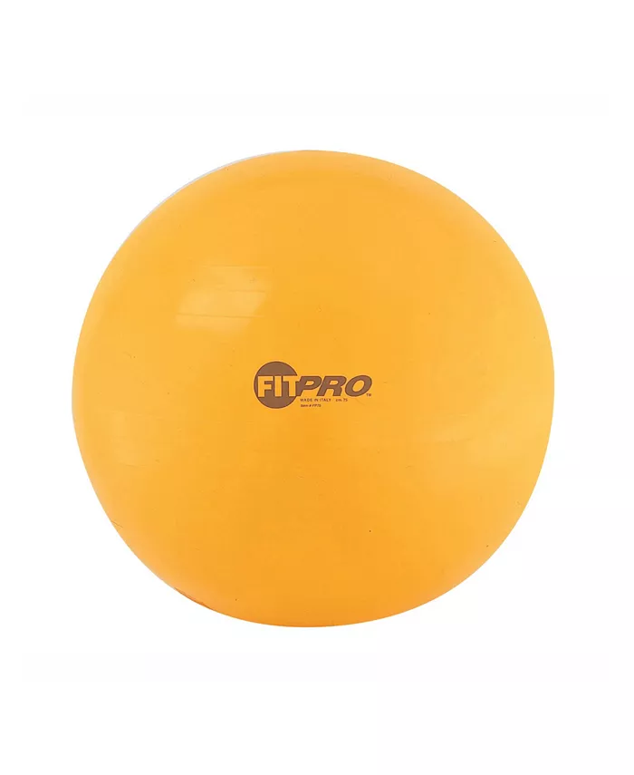 Champion Sports Fitpro Training Exercise Ball， 75 cm - Mycitystee
