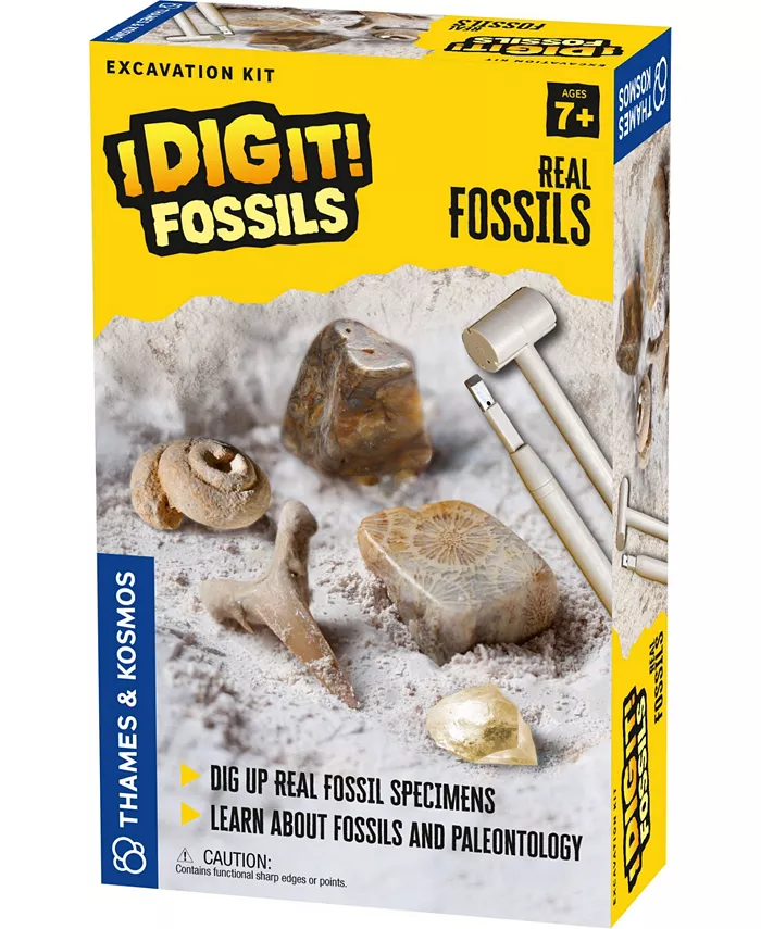 Thames Kosmos I Dig It! Fossils - Real Fossils Excavation Kit - Mycitystee