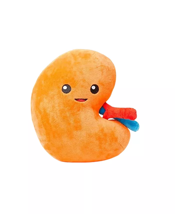 Nerdbugs Kidney Plush Toys - Urine for a treat! - Mycitystee