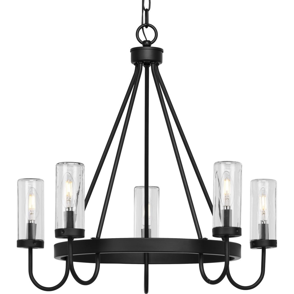 Swansea Collection 4-Light 24 in. Matte Black Round Transitional Outdoor Chandelier with Clear Glass Shades - Large - Mycitystee