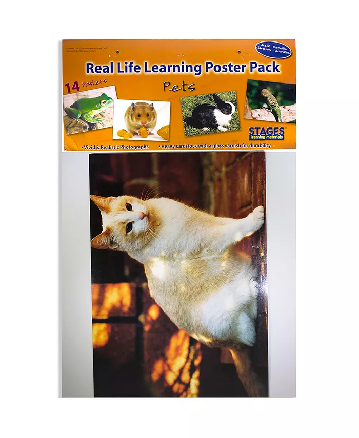 Stages Learning Materials Real Photo Pets Poster Set - Mycitystee