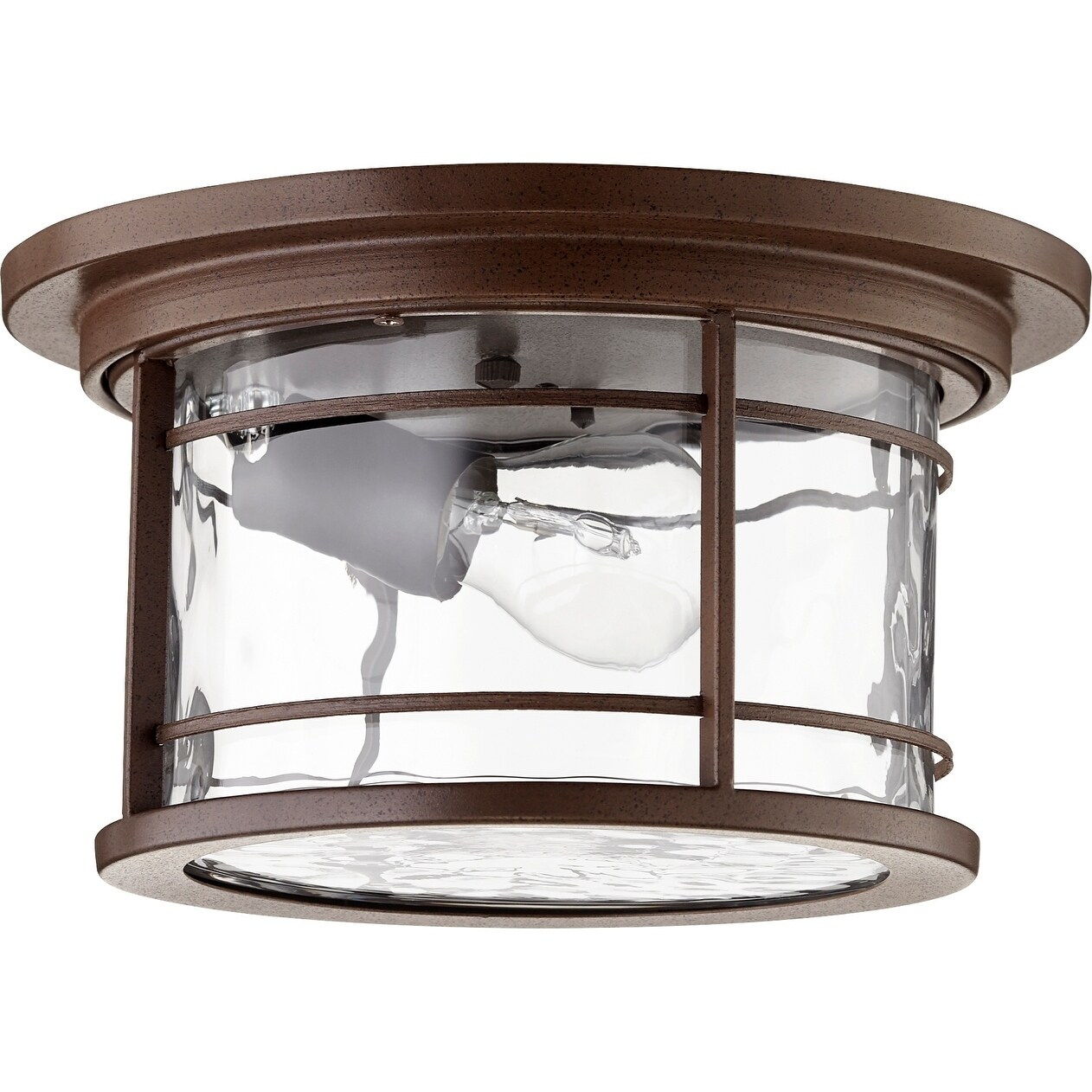 Larson Oiled Bronze and Clear Hammered Glass 1-light Outdoor Ceiling Mount - Mycitystee