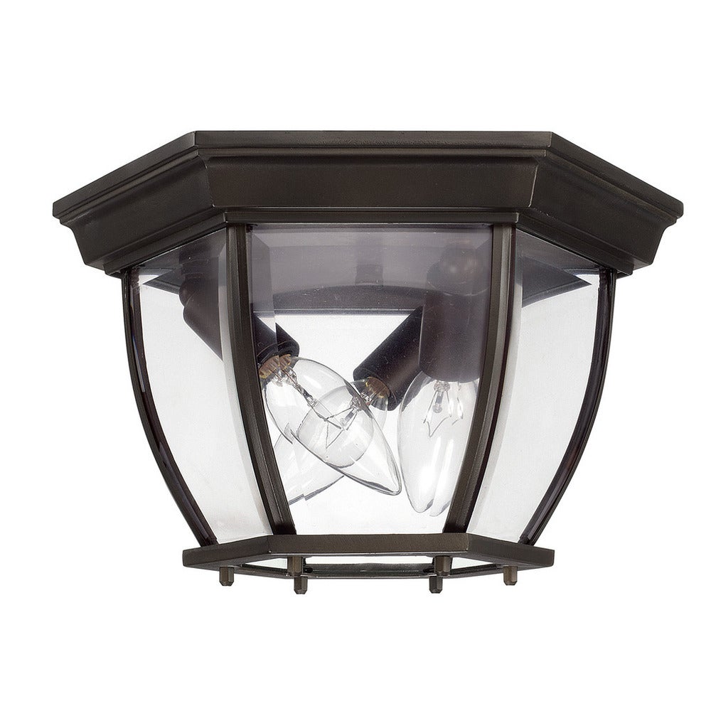 Traditional 3- light Outdoor Flush Mount Fixture - Mycitystee