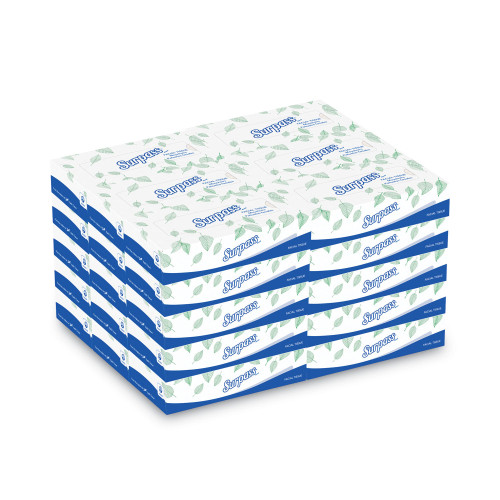 Surpass Facial Tissue for Business， 2-Ply， White， Flat Box， 100 Sheets/Box， 30 Boxes/Carton (21340) - Mycitystee