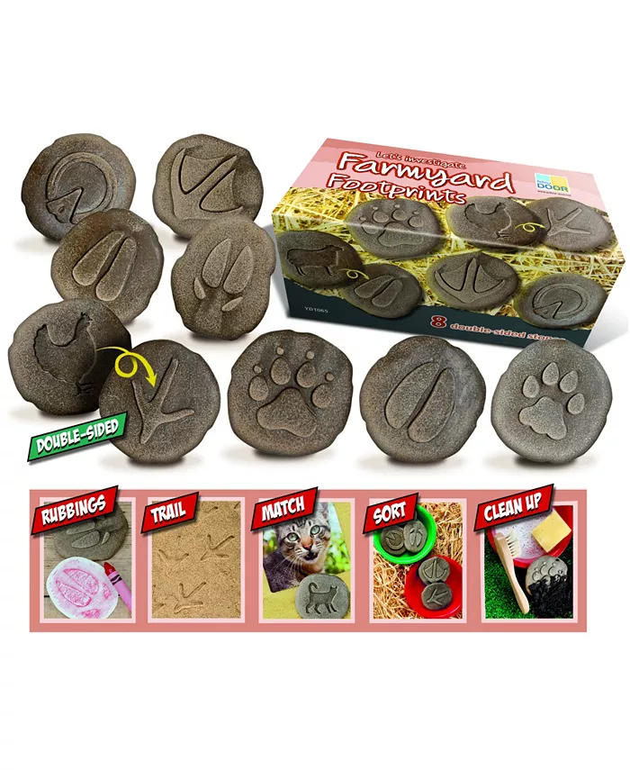 Yellow Door Let's Investigate Farmyard Footprints Stone， Set of 8 - Mycitystee