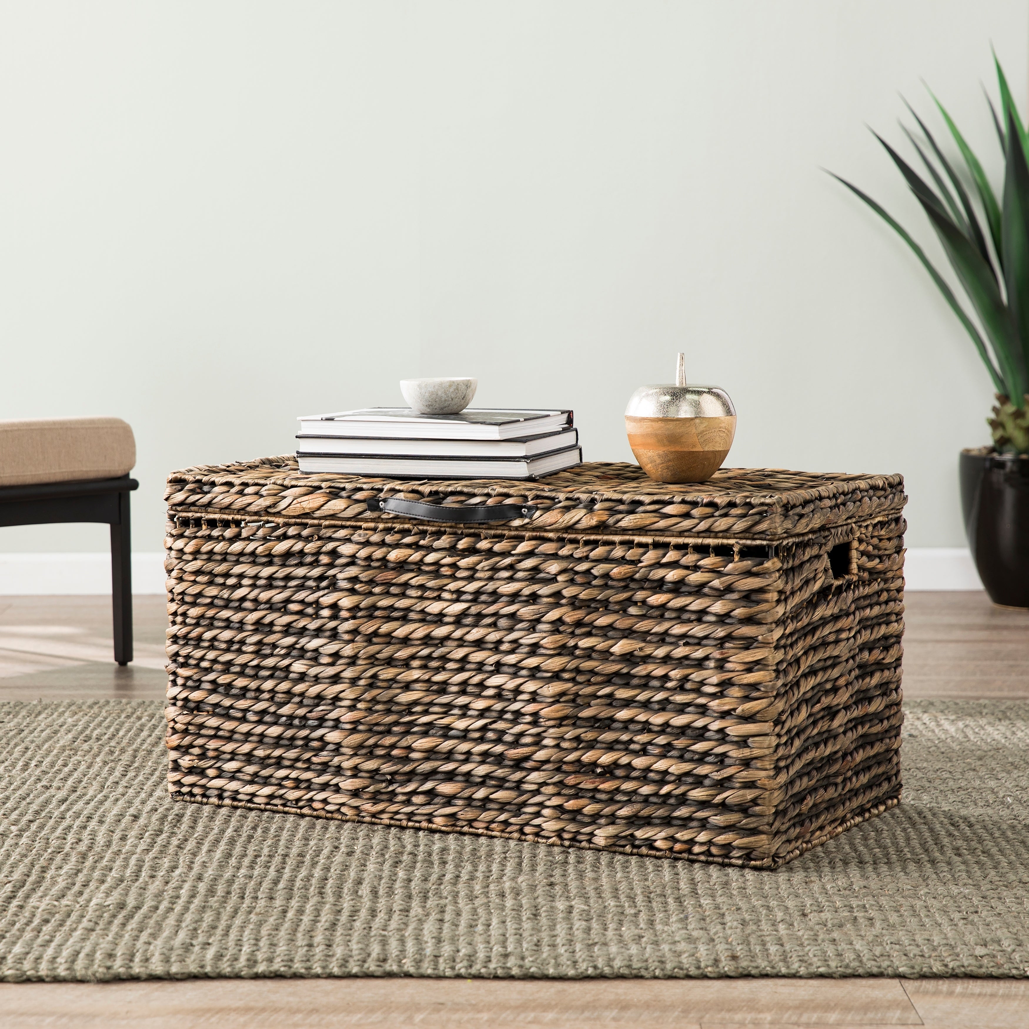 SEI Furniture Baux Water Hyacinth Storage Trunk Coffee Table - Mycitystee