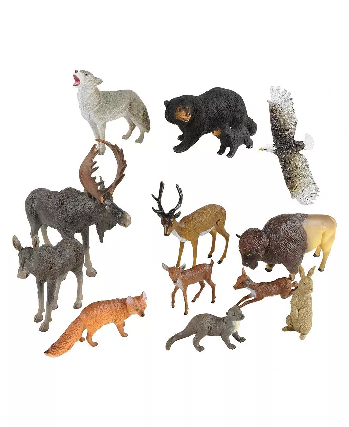Kaplan Early Learning North American Wildlife - Set of 13 - Mycitystee