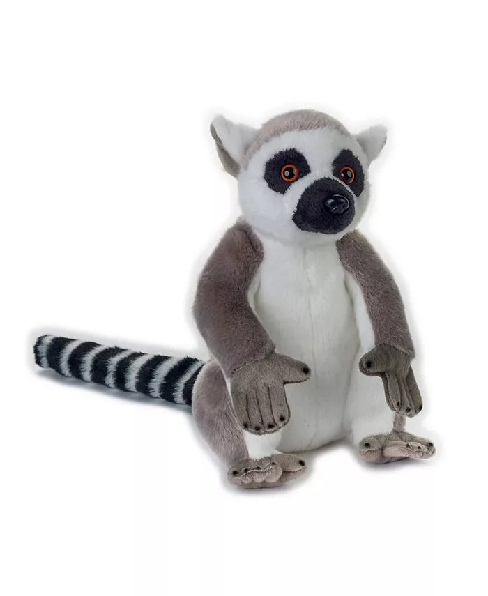 First and Main Venturelli Lelly National Geographic Basic Collection Plush， Lemure - Mycitystee
