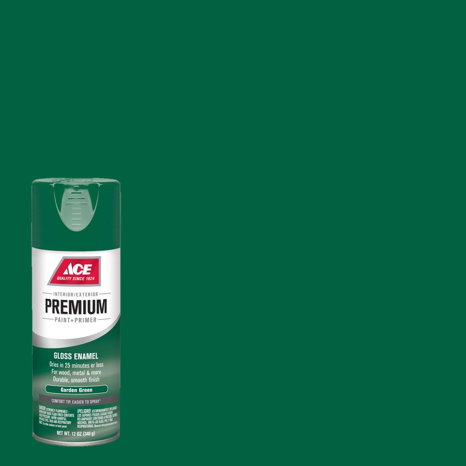 Ace Premium Gloss Garden Green Paint + Primer Enamel Spray 12 oz - Mycitystee