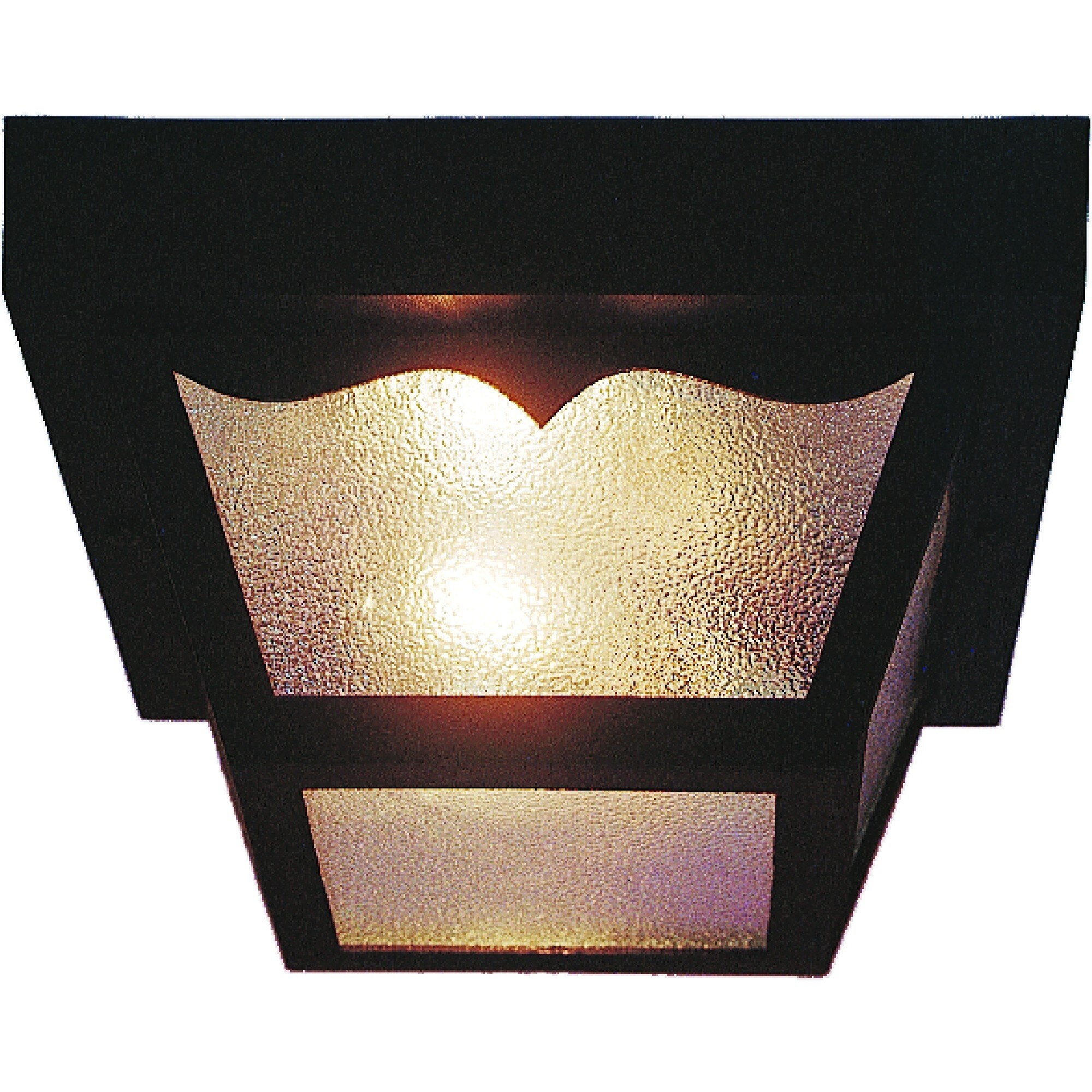 Volume Lighting 2-Light Black Outdoor Flush Mount - Mycitystee