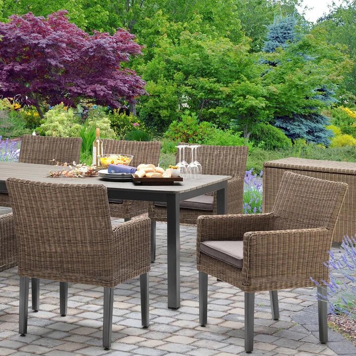 Kettler BRETANGE Chair w/ Canvas Coal Cushions， Set of 2 - Mycitystee
