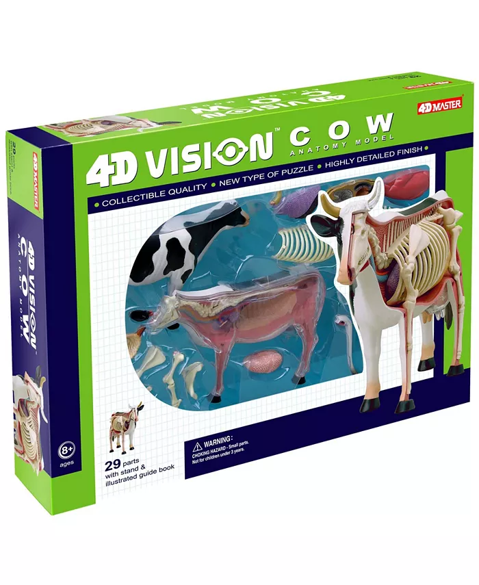 4D Master 4D Vision Cow Anatomy Model - Mycitystee