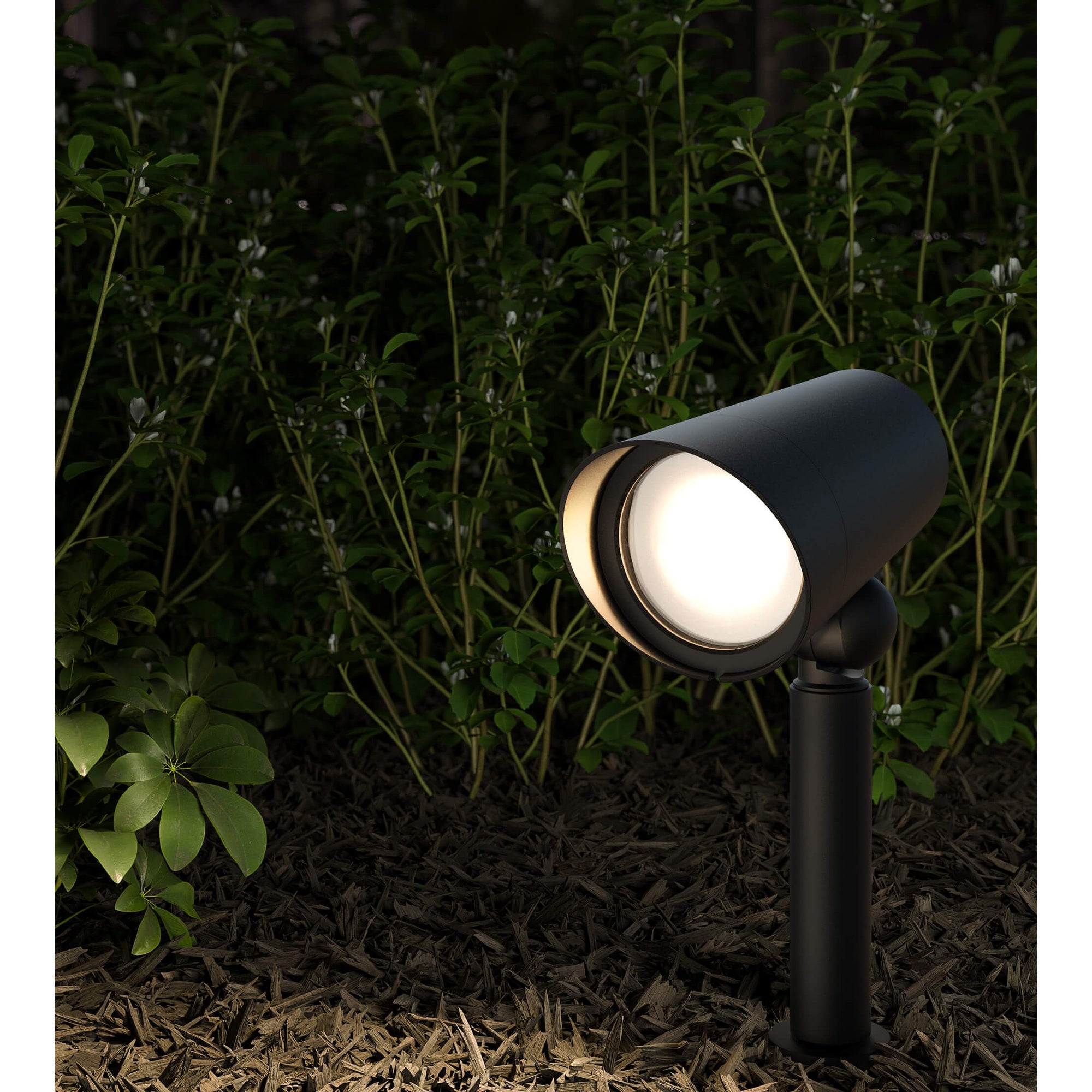 Spot CCT Landscape Spotlight - Mycitystee
