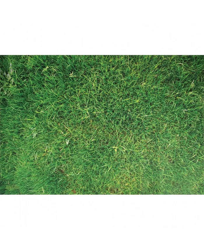 Kaplan Early Learning STEM Play Mat - Grass - Mycitystee