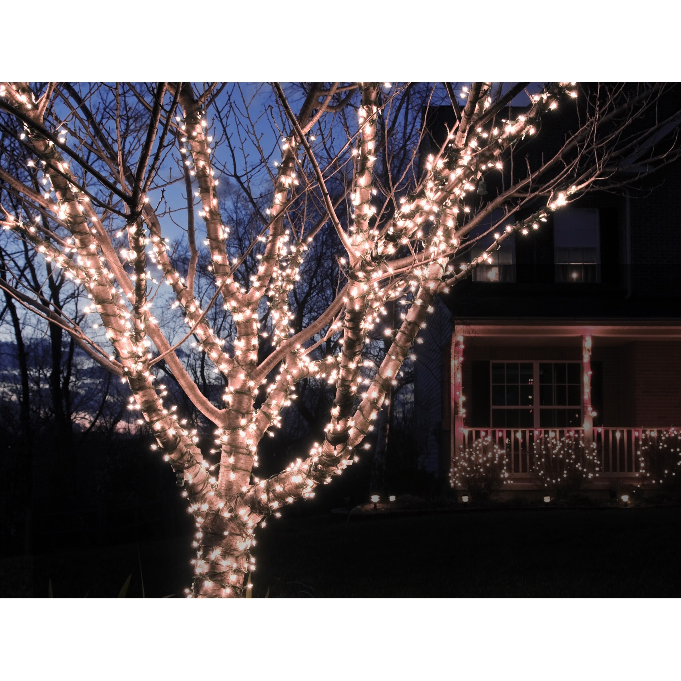 Solar Powered 100 LED String Light - Cool White - Mycitystee