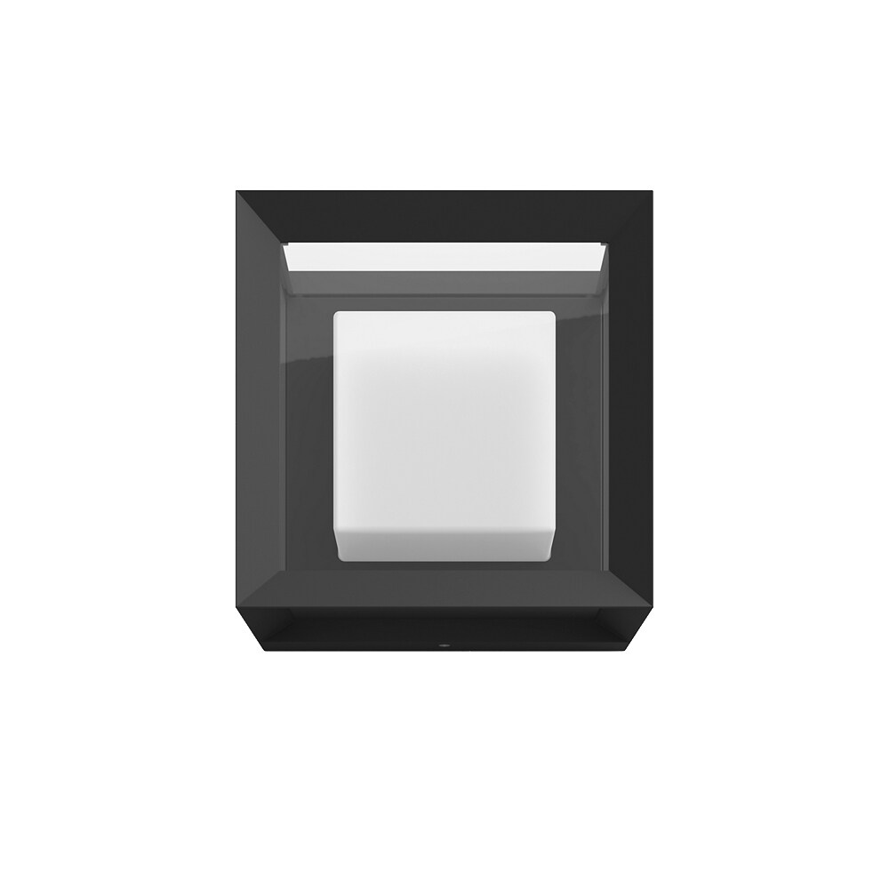Econic Outdoor Wall Light， Black - Mycitystee