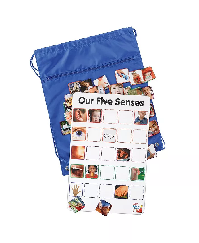 Kaplan Early Learning Company Our Five Senses Interactive Game - Mycitystee