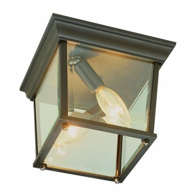 Trans Globe Lighting Two Light Down Lighting Outdoor Square Flush - Mycitystee