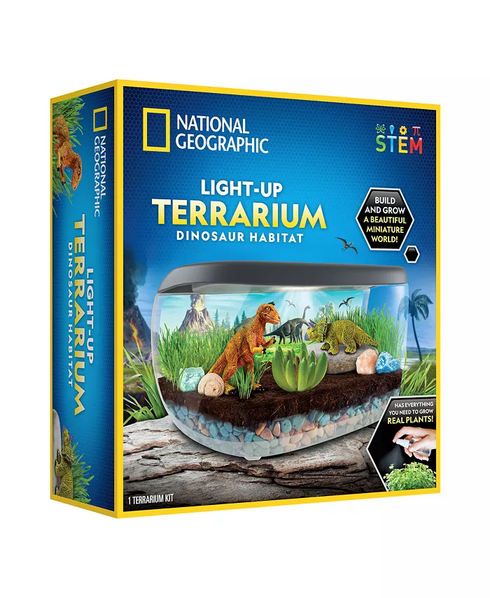 National Geographic Light Up Terrarium- Dinosaur Habitat - Mycitystee