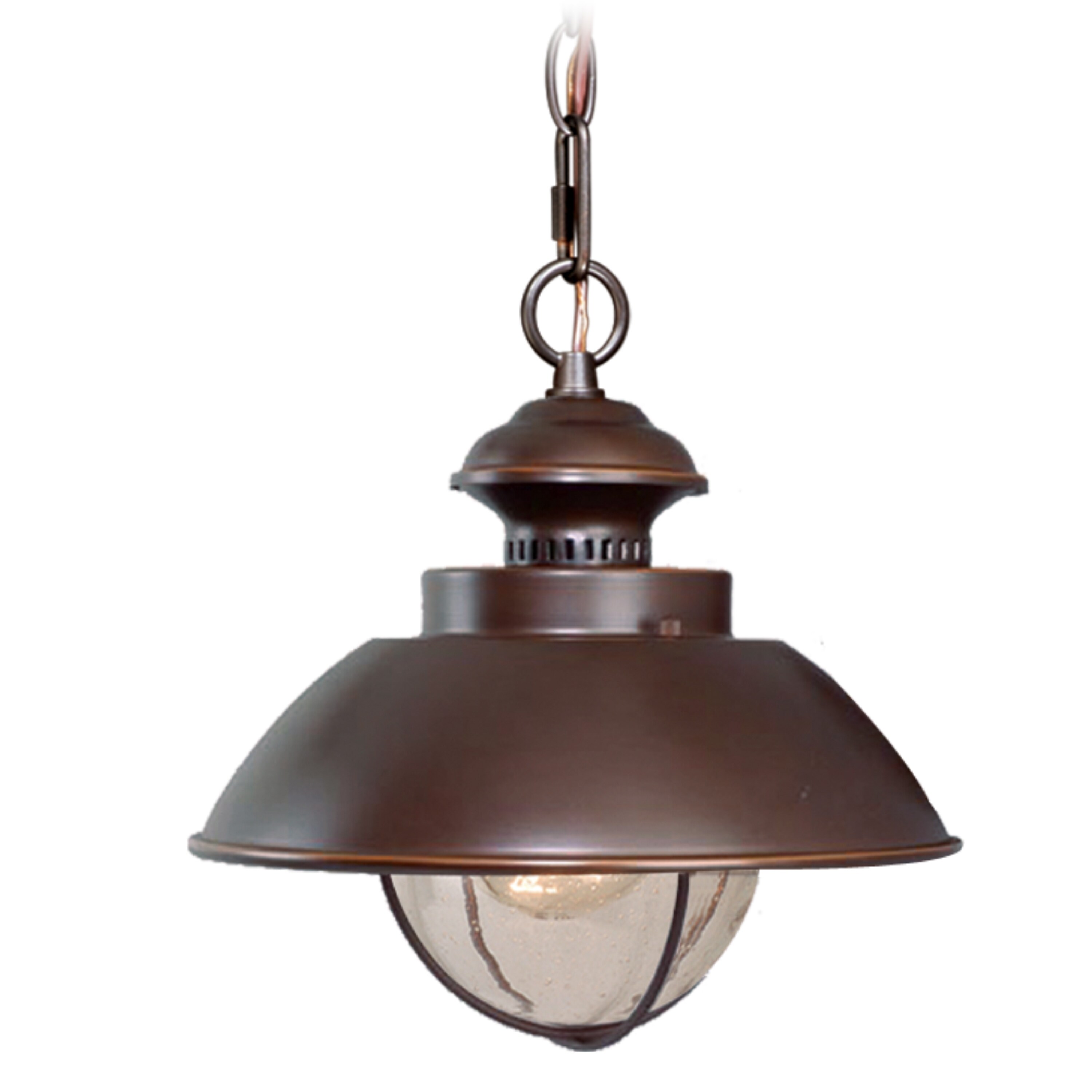 Harwich 1 Light Bronze Coastal Outdoor Barn Dome Pendant Clear Glass - 10-in W x 10.75-in H x 10-in D - Mycitystee