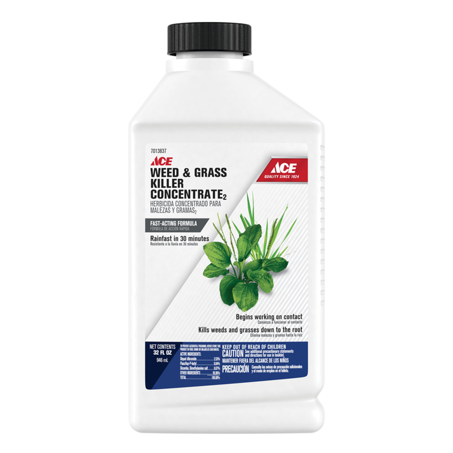 Ace Weed and Grass Killer Concentrate 32 oz - Mycitystee